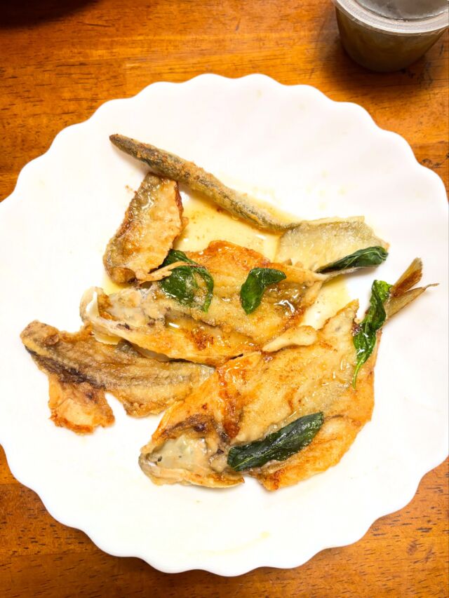 久しぶりにお魚釣りに行ってみました🐟

スズキの子ども（フッコ？）４匹

（とダツの赤ちゃん？）が釣れたので、

適当に捌いて、畑のバジルも載せて、

ムニエル（もどき）に…😊

そこそこ大きいと思ったお魚さんも

焼くと小ちゃくなっちゃって、

食べるところがほとんど無くなっちゃったけど、

新鮮だからか臭みもなくて、美味しかったです🥰

#フッコ 
#ムニエル 
#バジル